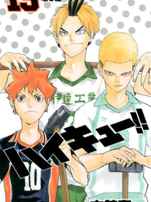 Haikyuu!! 15