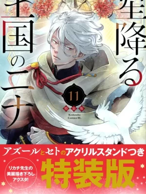 Hoshi Furu Oukoku no Nina 11