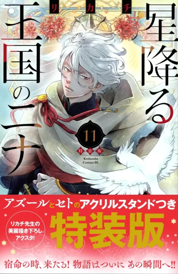 Hoshi Furu Oukoku no Nina 11