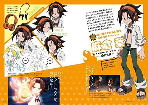 Shaman King Official Animation Guide