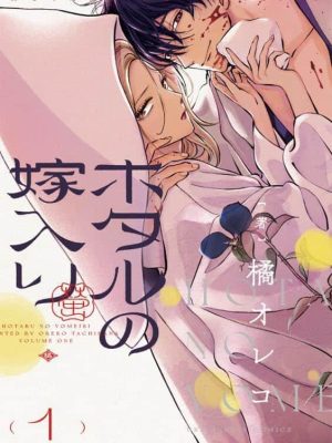 Hotaru no Yomeiri