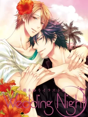 Yuu Moegi Illustration Works Wedding Night Cover