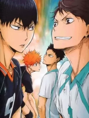 Panfleto Haikyuu!! Talent and Sense