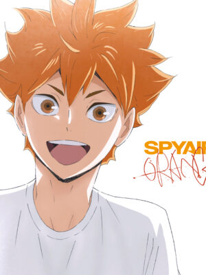 SPYAIR Orange EP Haikyuu!! Limited Edition