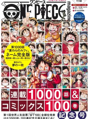 One Piece Magazine Vol.13