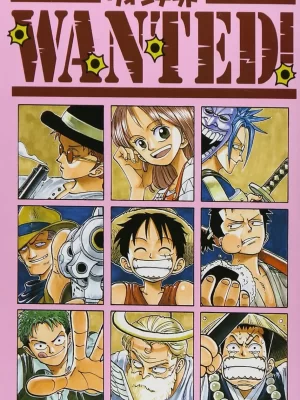 Wanted! One Piece