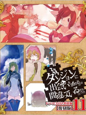 Novela DanMachi 11 (Edición especial)