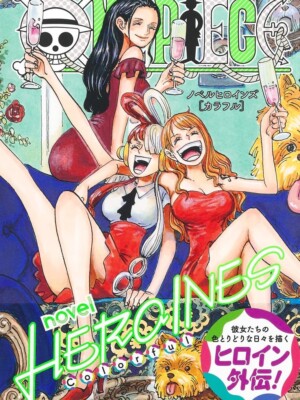 ONE PIECE novel HEROINES Colorful