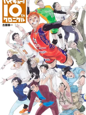 Haikyuu!! 10th Chronicle