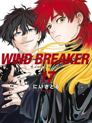 Wind Breaker 17