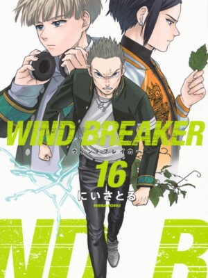 Wind Breaker 16