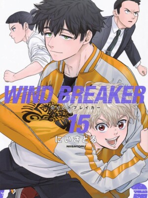 Wind Breaker 15