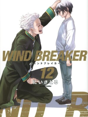Wind Breaker 12