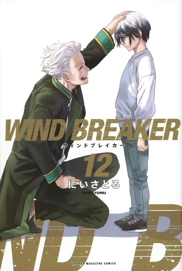 Wind Breaker 12