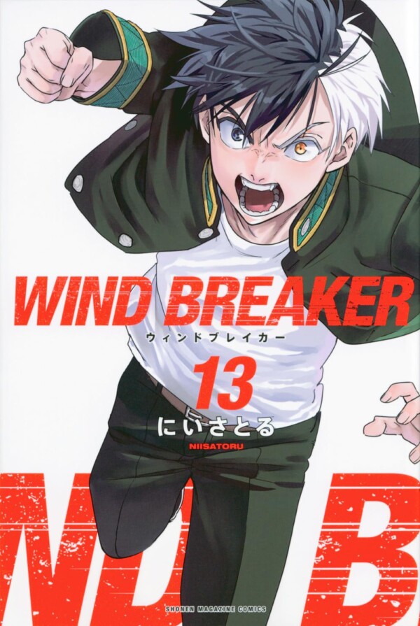 Wind Breaker 13