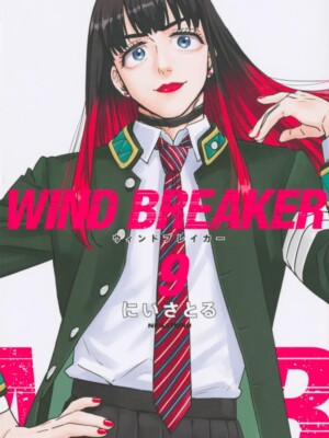 Wind Breaker 9