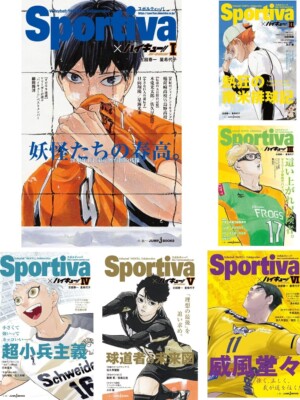 Sportiva x Haikyuu!! Shousetsuban!! Set Vol. 1-13