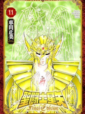 Saint Seiya Final Edition 11
