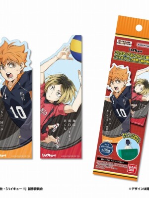 Bookmark Collection Haikyuu!! Battle of the Garbage Dump