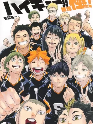 Haikyuu!! Final Guidebook Volleyball Climax!