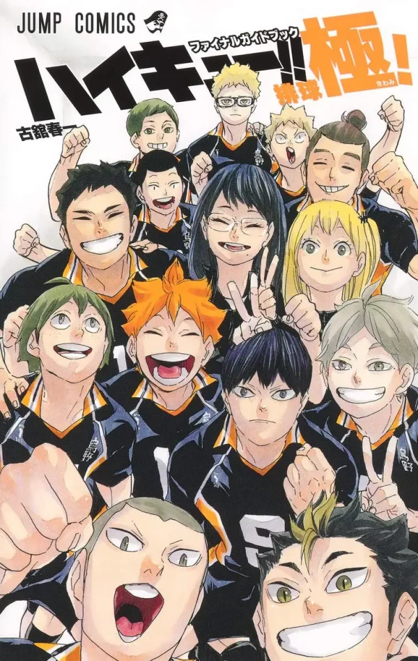 Haikyuu!! Final Guidebook Volleyball Climax!