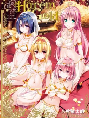 To Love-Ru Darkness Art Book Harem Gold