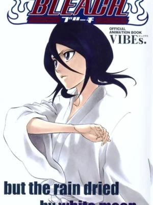 BLEACH Official Animation Book VIBEs