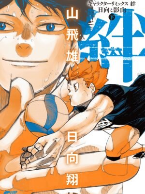 Haikyu!! Character Remix Bonds Hinata & Kageyama Vol.1