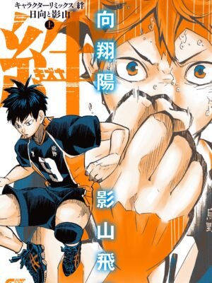 Haikyu!! Character Remix Bonds Hinata & Kageyama Vol.1
